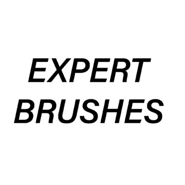 Logo of Expert Brushes